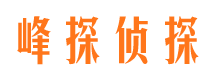 青云谱寻人公司